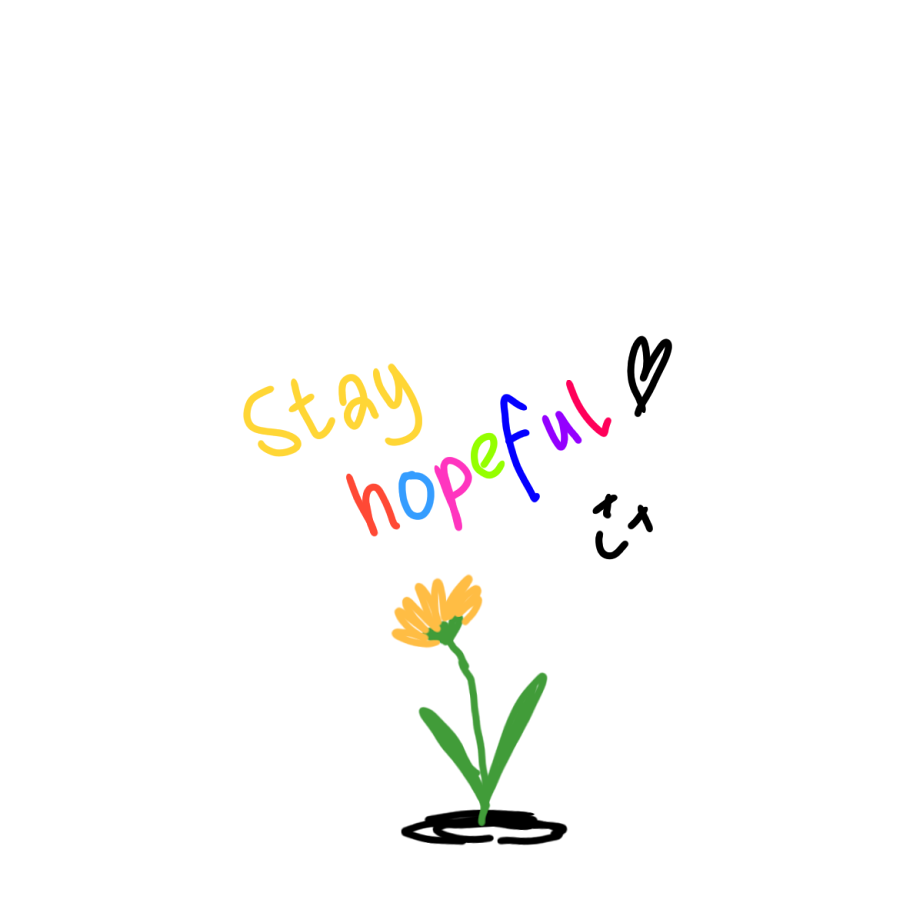 Stay hopeful. Flower growing out of hole.